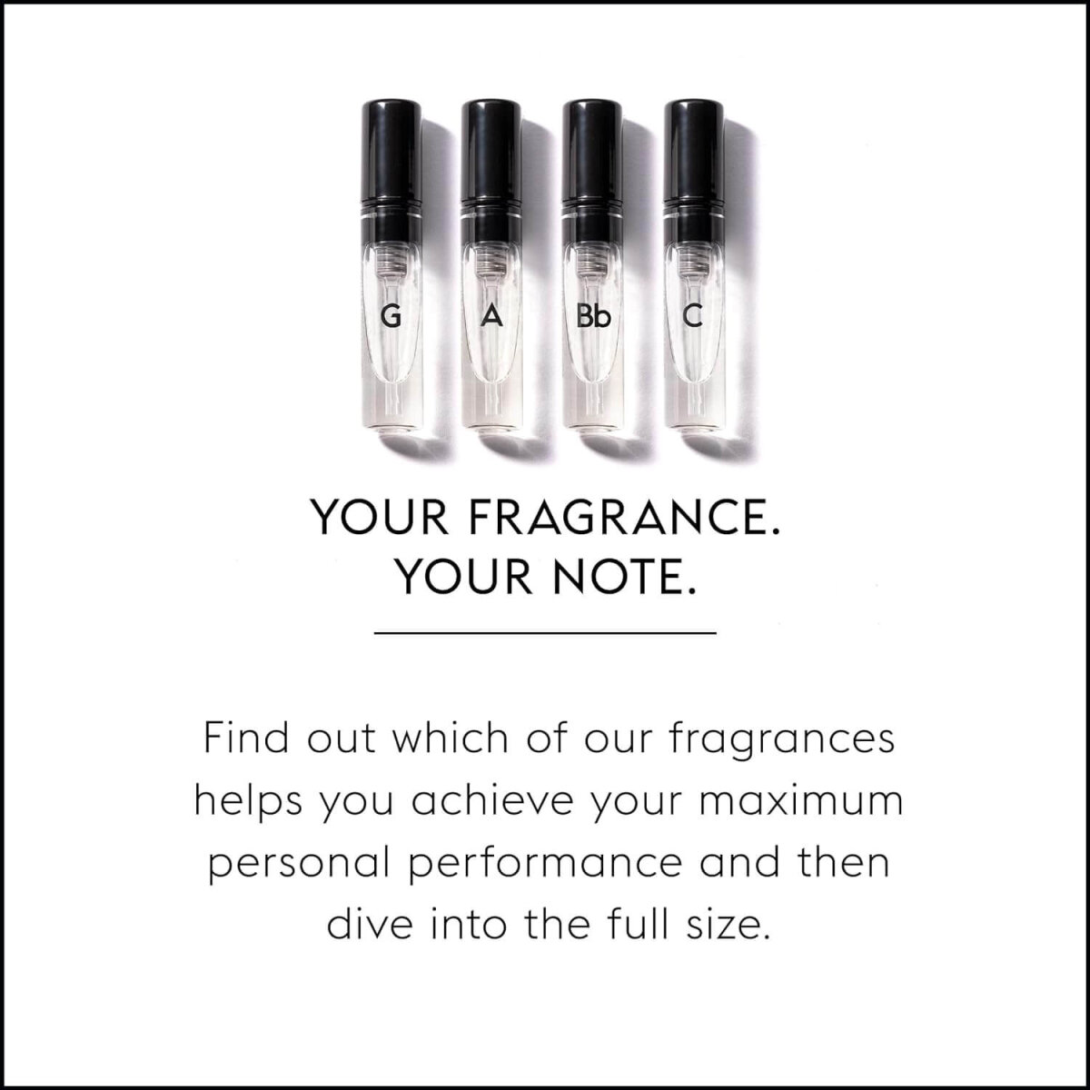 20 x GAMMON Black Notes Parfum Explorer-Set (4x2 ml) Herrenduft Parfum Duftset Probierset mit 20% Duft√∂lanteil