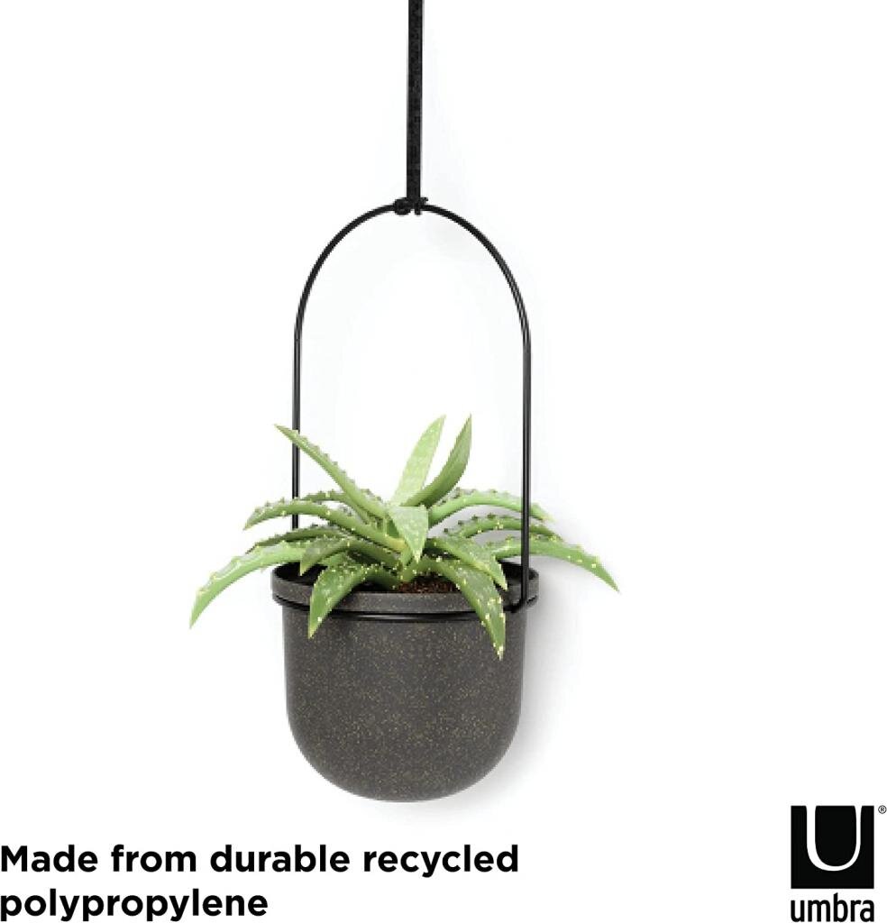 Umbra Triflora BLACK H√§ngeblumentopf 5er-Set, Wandvase, Blumentopf, Blumenampel f√ºr Wand-& Deckenanbringung
