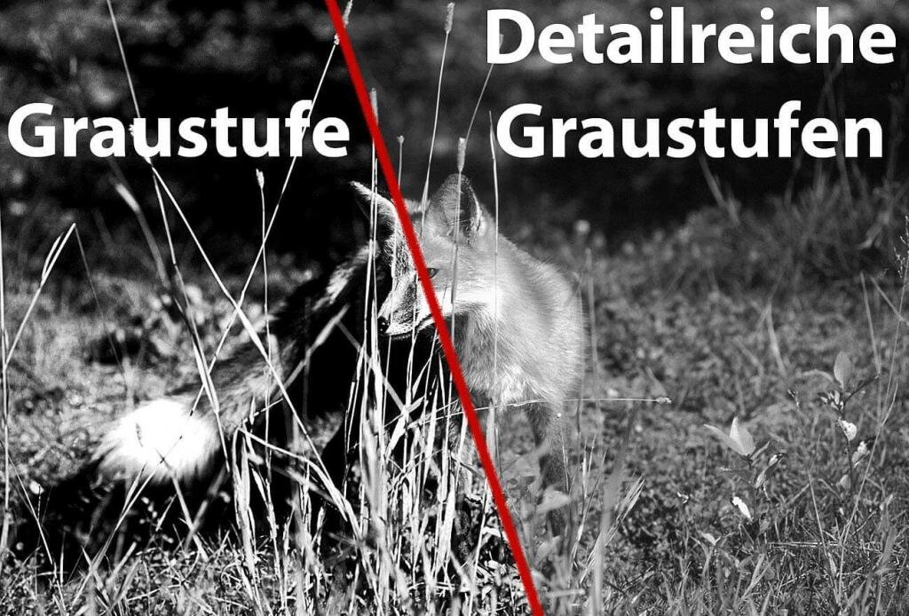 Zavarius DN-800 V2 Nachtsicht Fernglas Nachtsichtger√§t binokular HD-Videokamera 700 m IR-Sichtweite