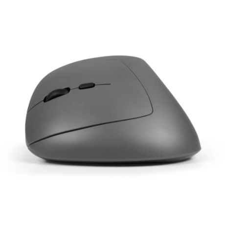 MidWay Mouse Links