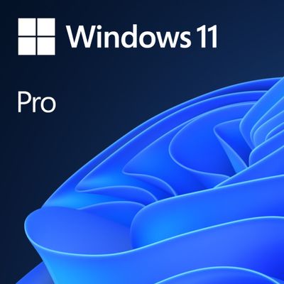 Microsoft Windows 11 Pro 64 Bit - SystemBuilder - Box - 1 Lizenz - Englisch