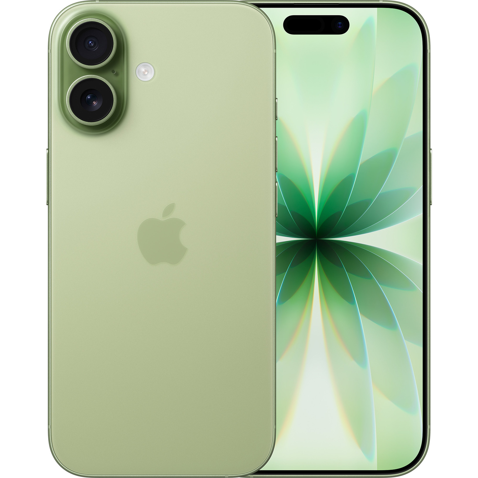 iPhone 17 256GB, Handy