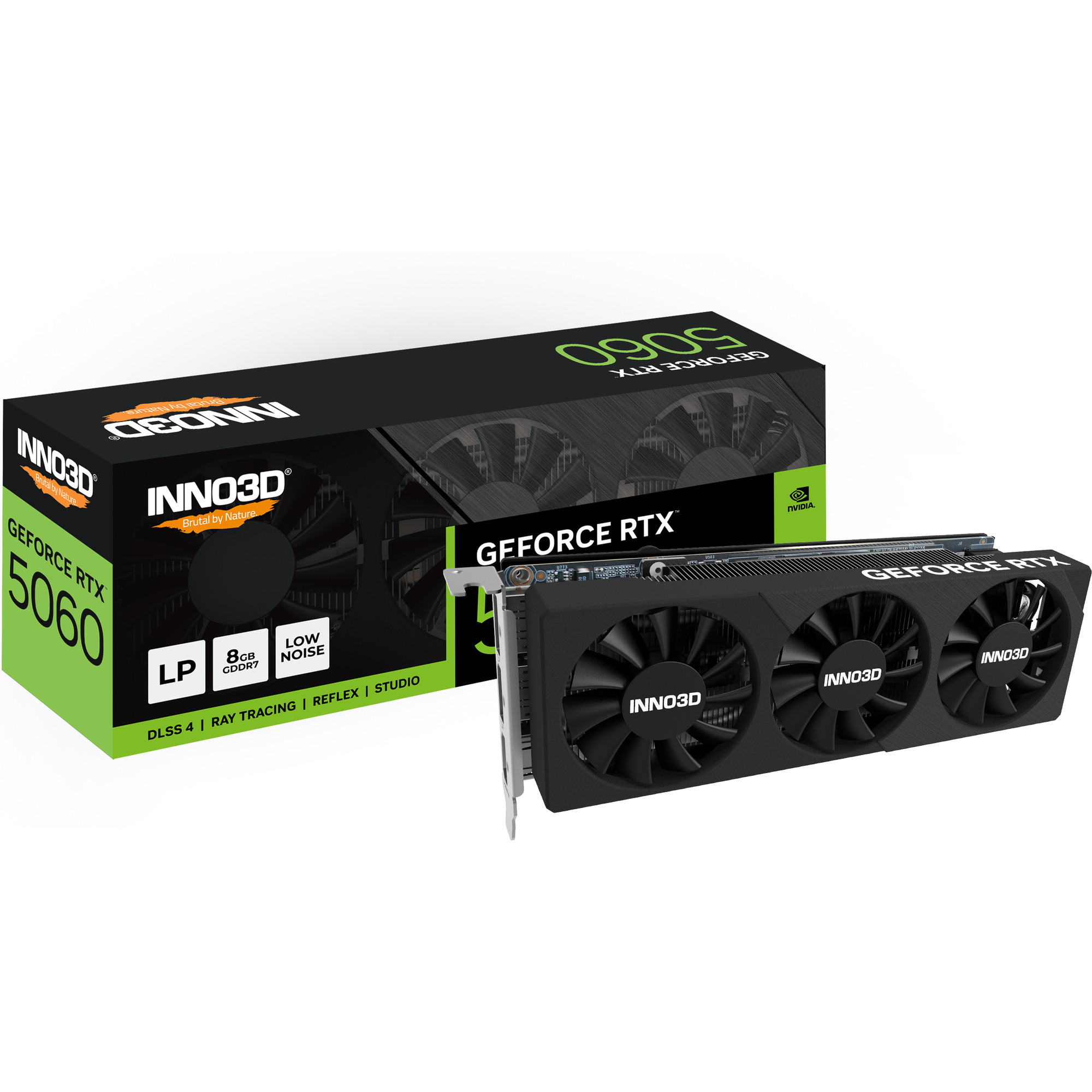 GeForce RTX 5060 LOW PROFILE, Grafikkarte