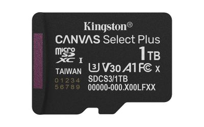 Kingston Flash-Card Canvas Select Plus - microSDXC UHS-I - 1 TB