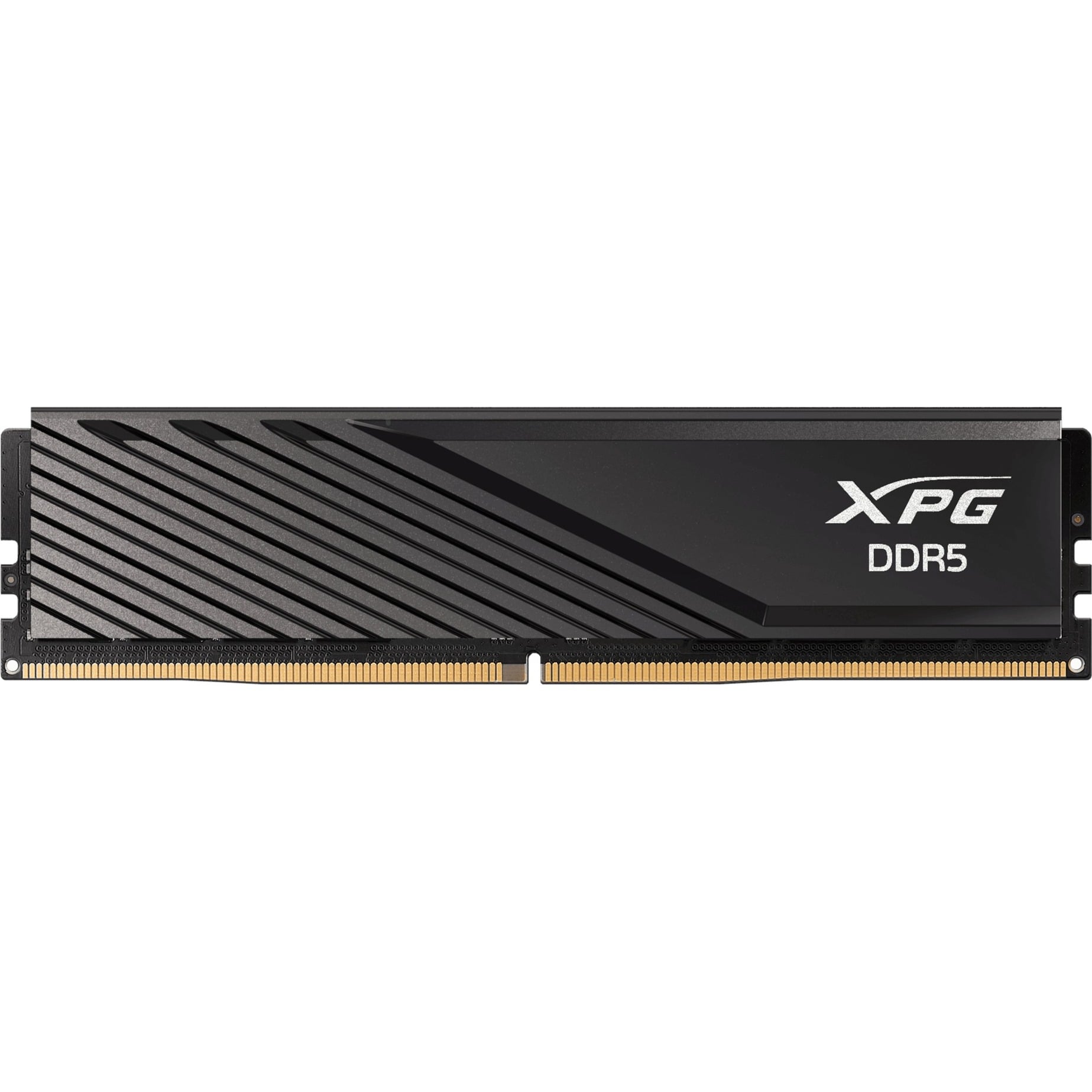 DIMM 16 GB DDR5-6000 (1x 16 GB), Arbeitsspeicher