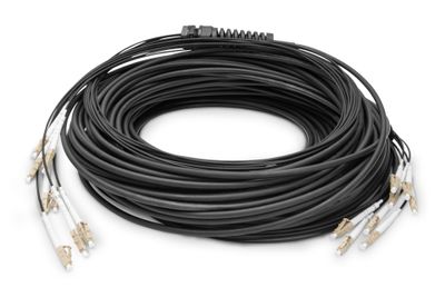 DIGITUS Netzwerkkabel - 75 m